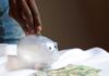 Creating Long-Lasting Healthy Money Habits