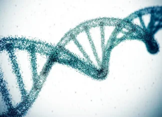 With The Snip Of A Gene, Scientists Hope To Erase High Cholesterol For Life